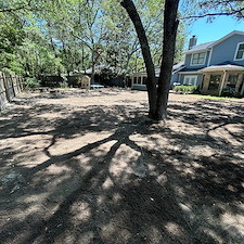 Instant-Green-Zero-Hassle-Premium-Sod-Installation-by-Zion-Landscaping 0